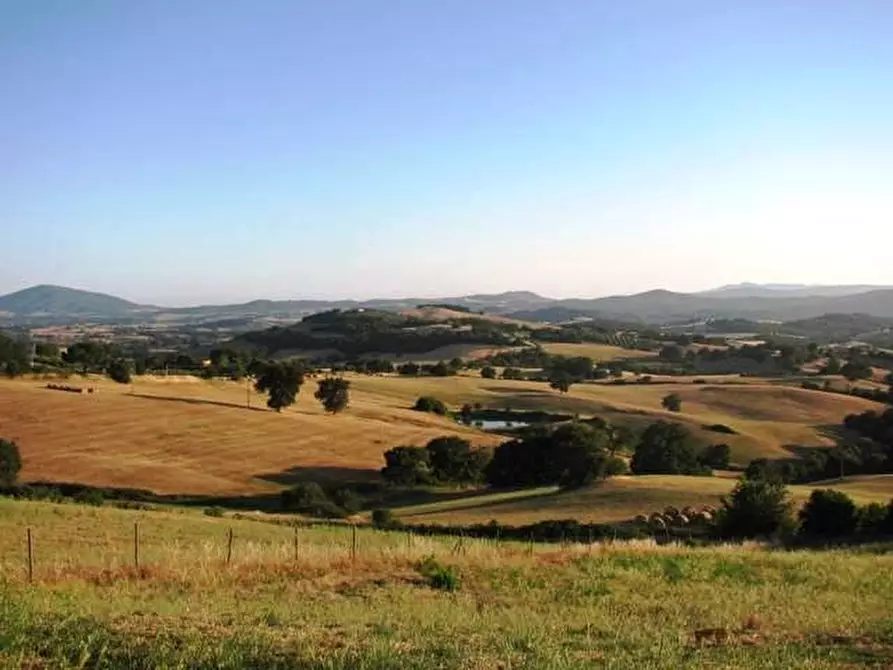 Immagine 22 di Villa in vendita  a Manciano