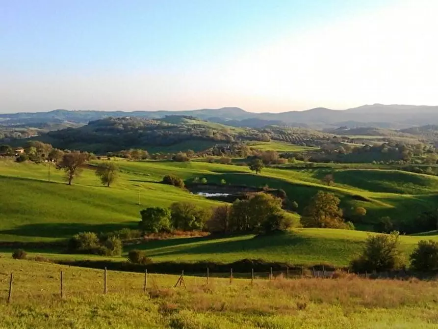 Immagine 24 di Villa in vendita  a Manciano
