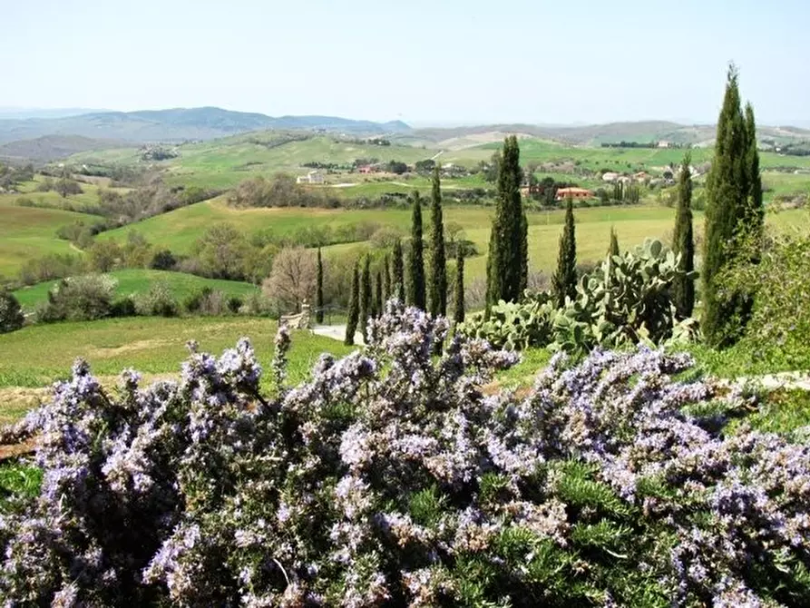 Immagine 23 di Villa in vendita  a Manciano