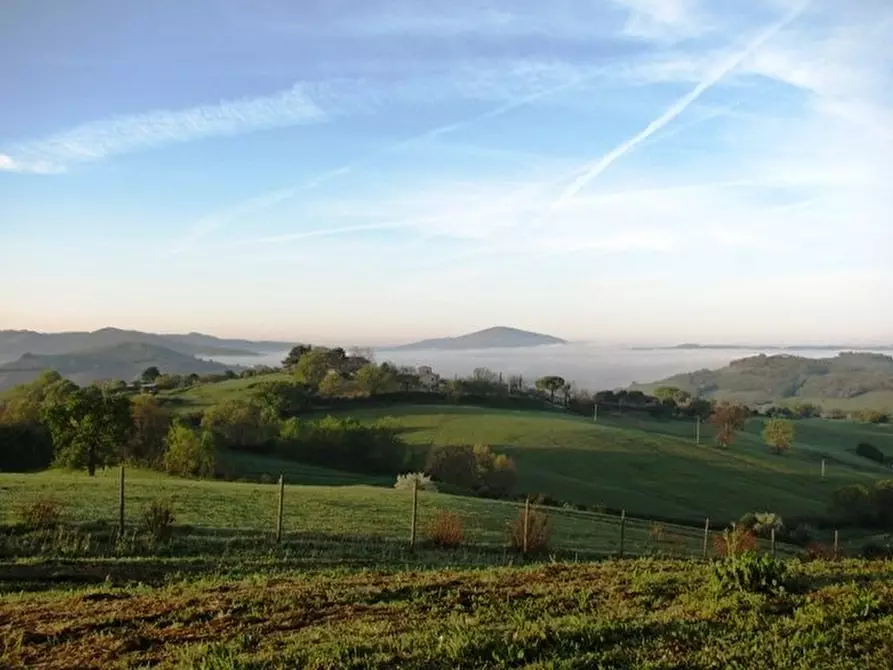 Immagine 30 di Villa in vendita  a Manciano