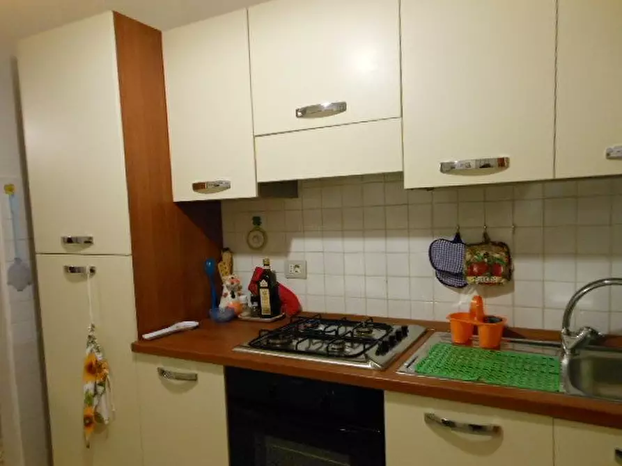 Immagine 5 di Appartamento in affitto  a Pisa