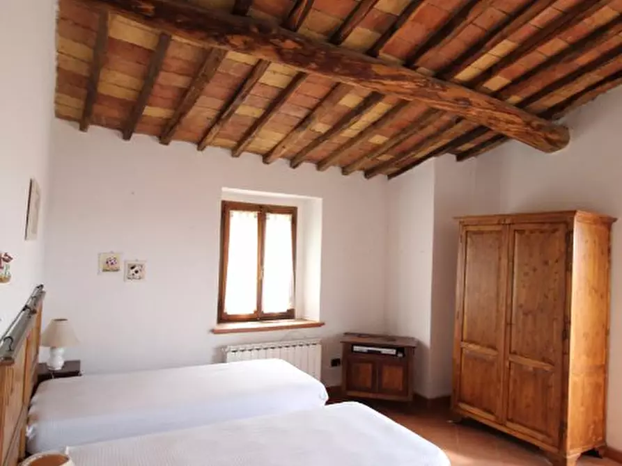 Immagine 11 di Terratetto in vendita  a Murlo