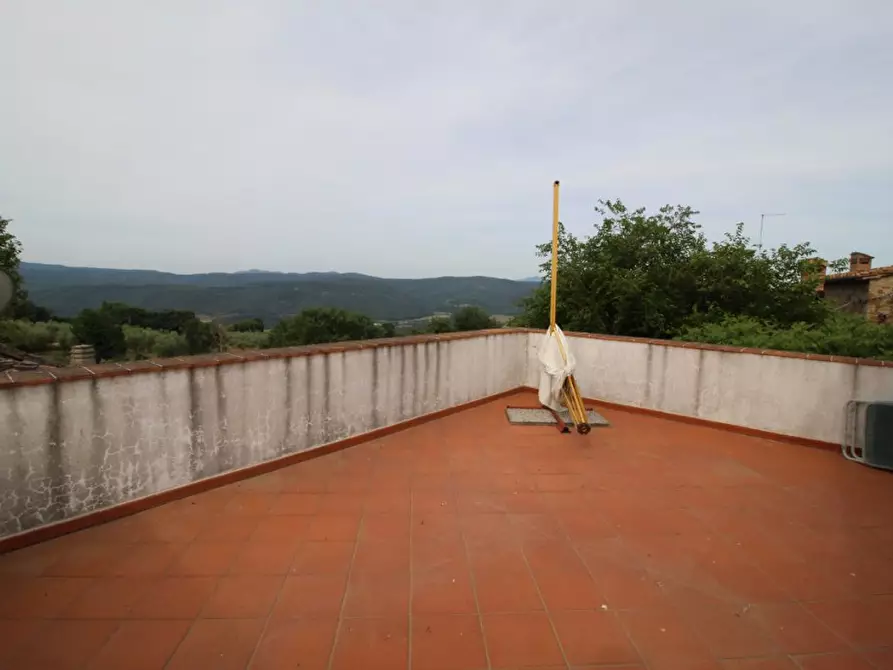 Immagine 8 di Terratetto in vendita  a Murlo