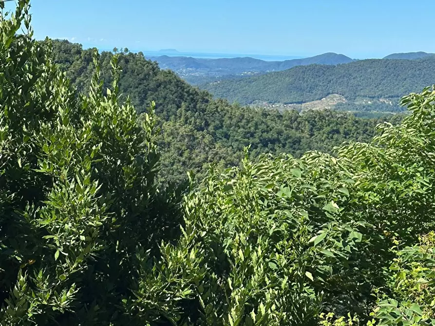 Immagine 6 di Rustico / casale in vendita  a Lucca