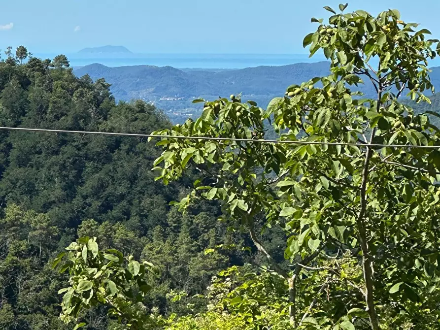 Immagine 34 di Rustico / casale in vendita  a Lucca