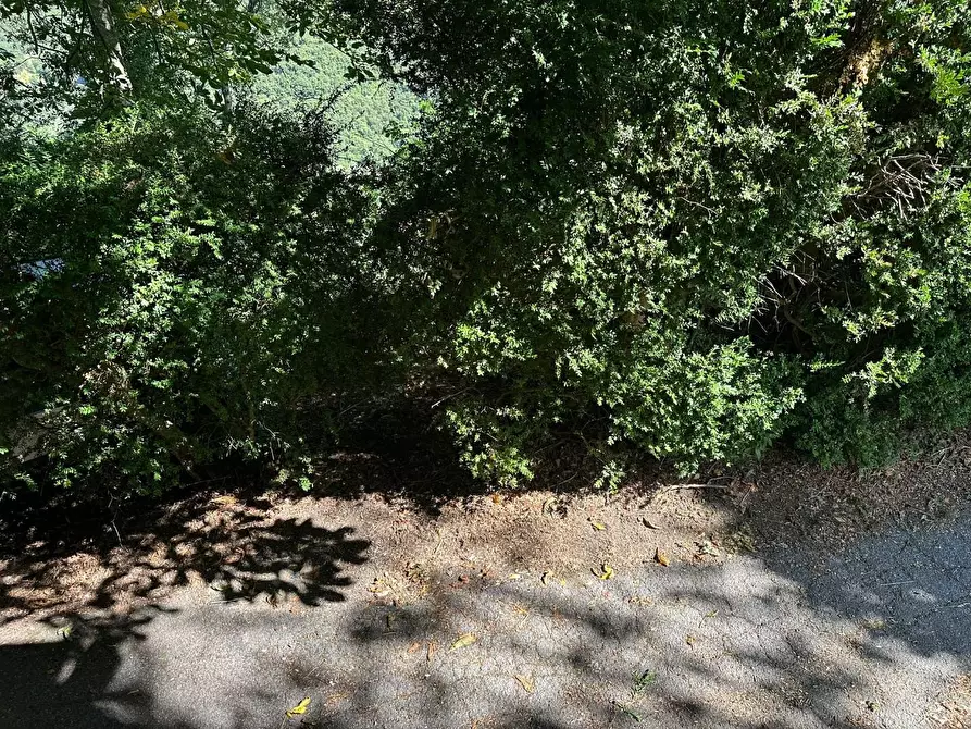 Immagine 28 di Rustico / casale in vendita  a Lucca