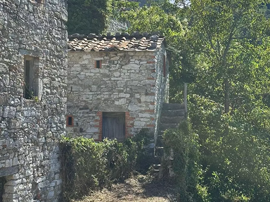 Immagine 37 di Rustico / casale in vendita  a Lucca