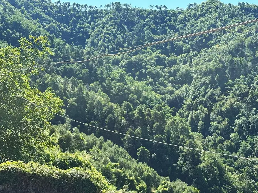 Immagine 8 di Rustico / casale in vendita  a Lucca