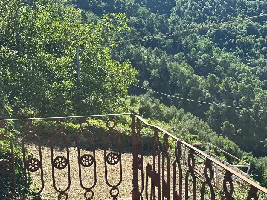 Immagine 7 di Rustico / casale in vendita  a Lucca