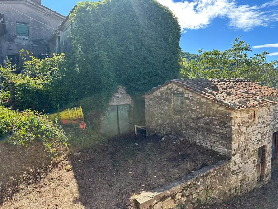 Immagine 29 di Rustico / casale in vendita  a Lucca