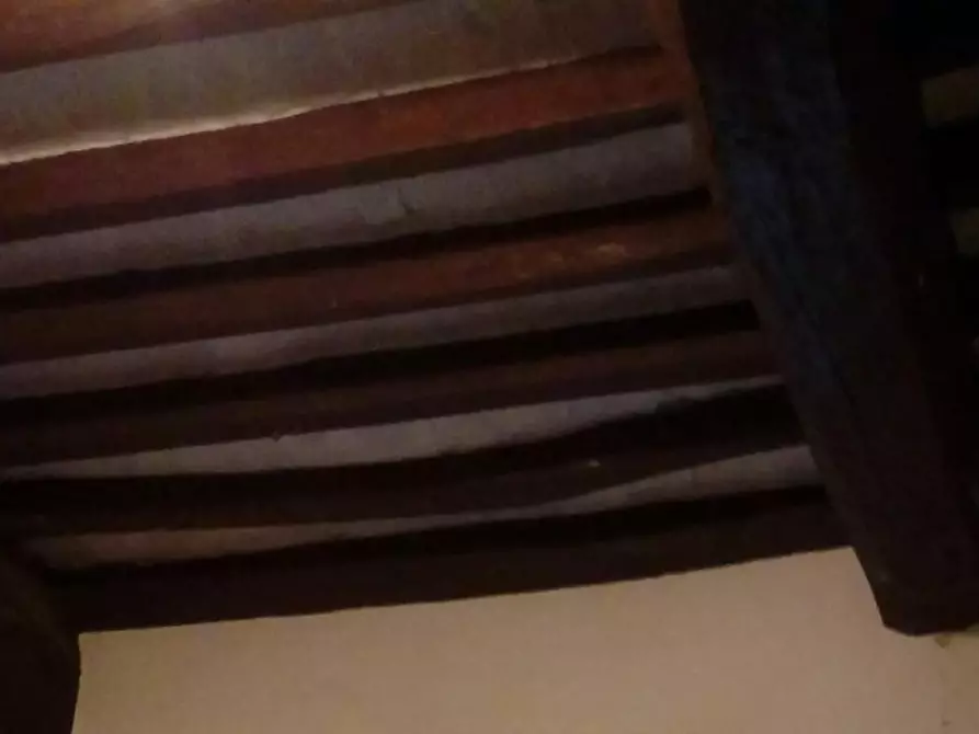 Immagine 9 di Appartamento in vendita  a Palaia