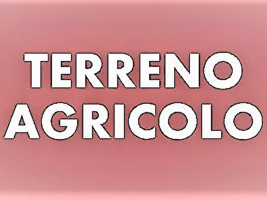 Immagine 1 di Terreno agricolo in vendita  a Massa