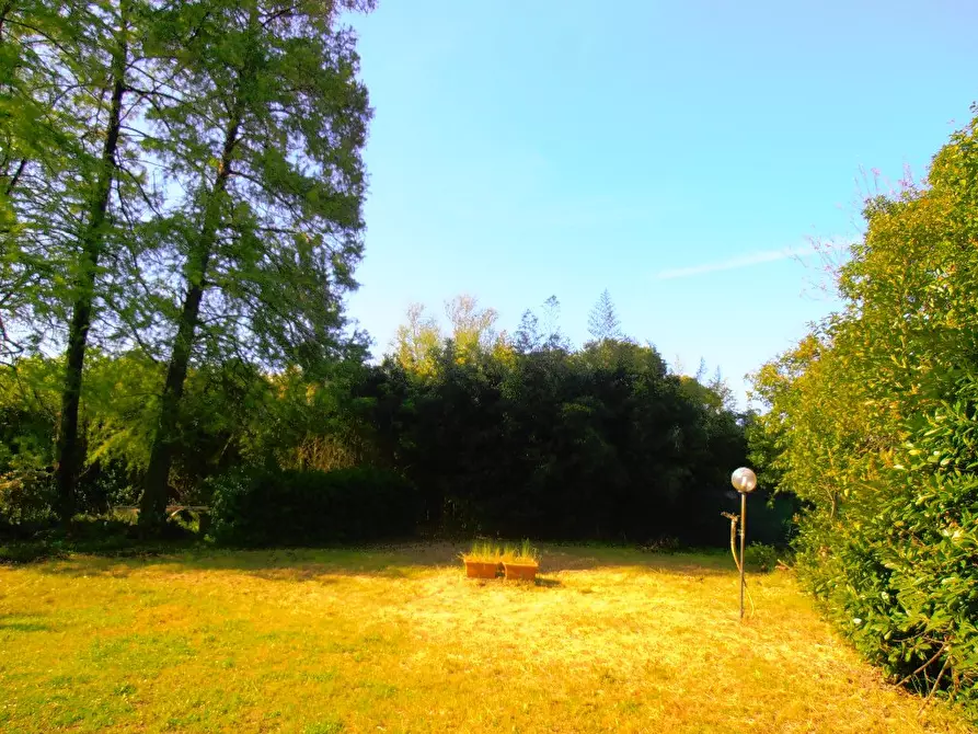 Immagine 18 di Casa colonica in vendita  a Pietrasanta