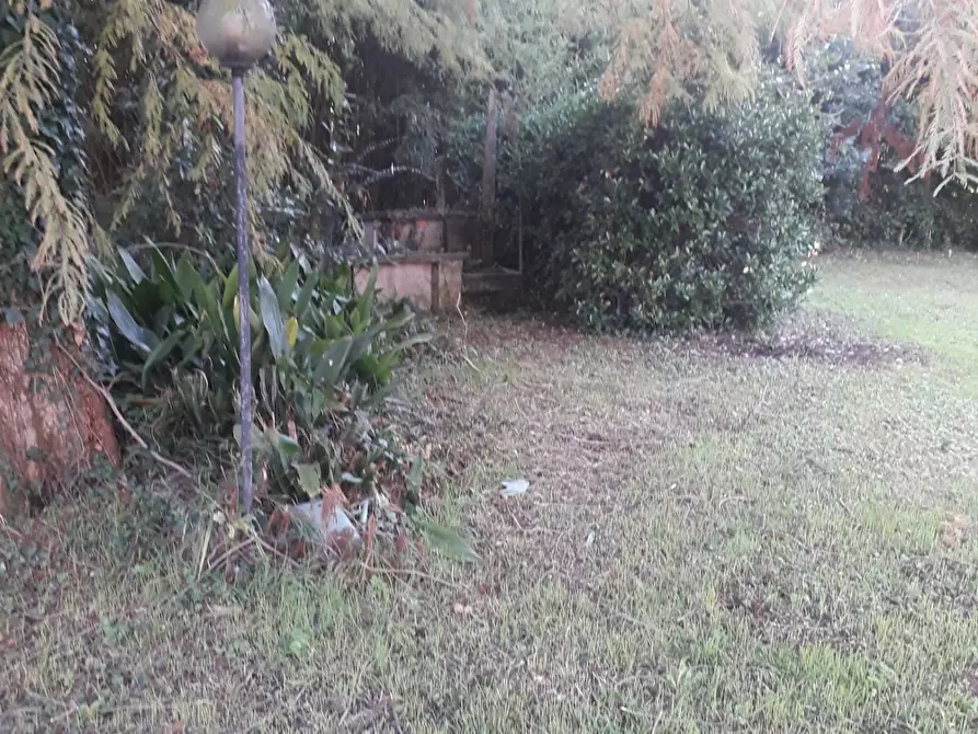 Immagine 23 di Casa colonica in vendita  a Pietrasanta