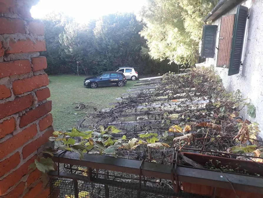 Immagine 24 di Casa colonica in vendita  a Pietrasanta
