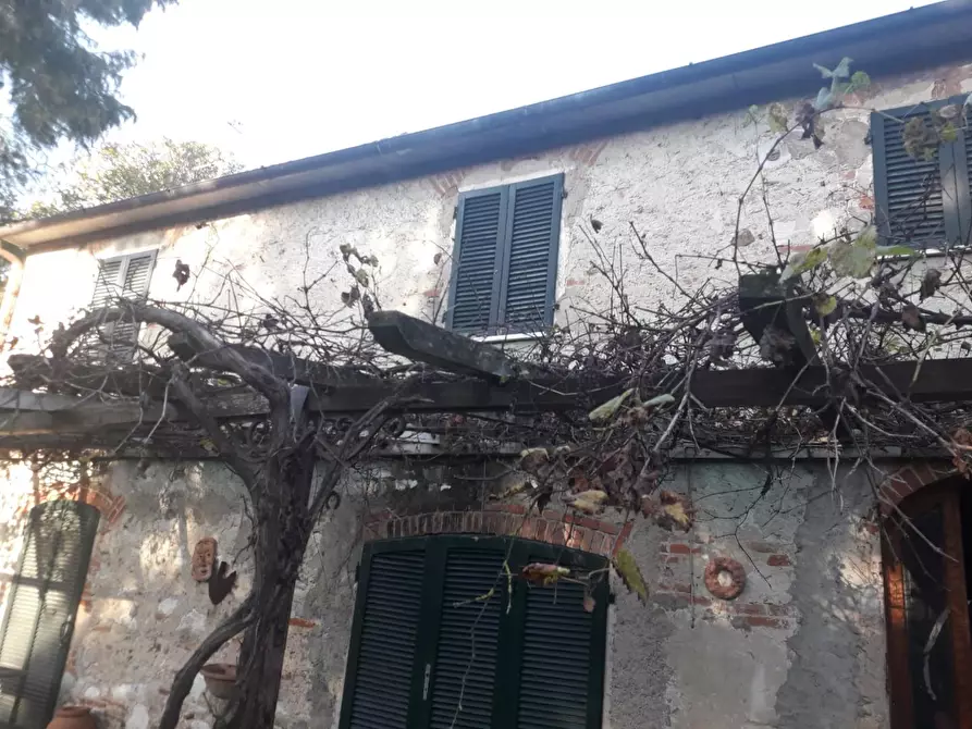Immagine 12 di Casa colonica in vendita  a Pietrasanta
