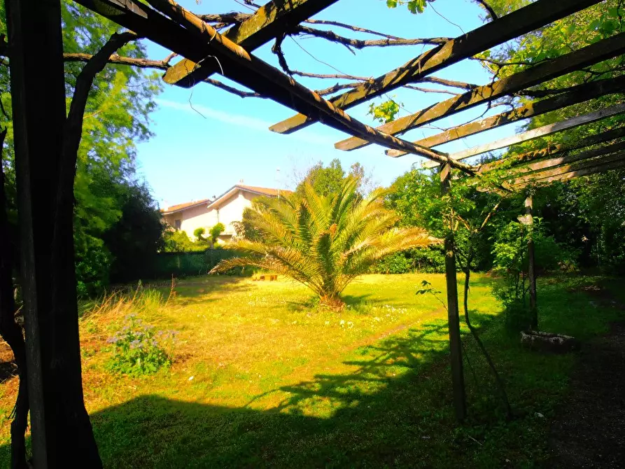 Immagine 36 di Casa colonica in vendita  a Pietrasanta