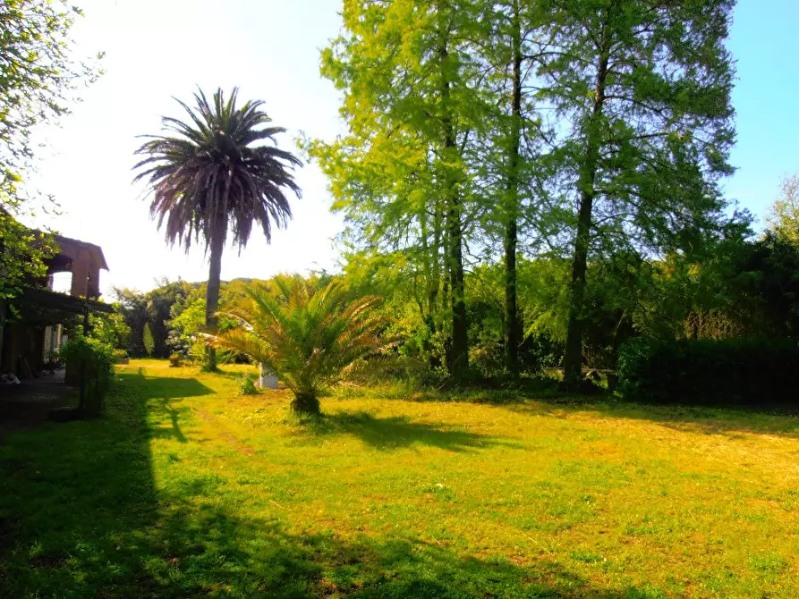 Immagine 13 di Casa colonica in vendita  a Pietrasanta