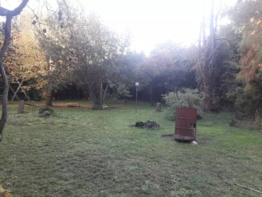 Immagine 29 di Casa colonica in vendita  a Pietrasanta