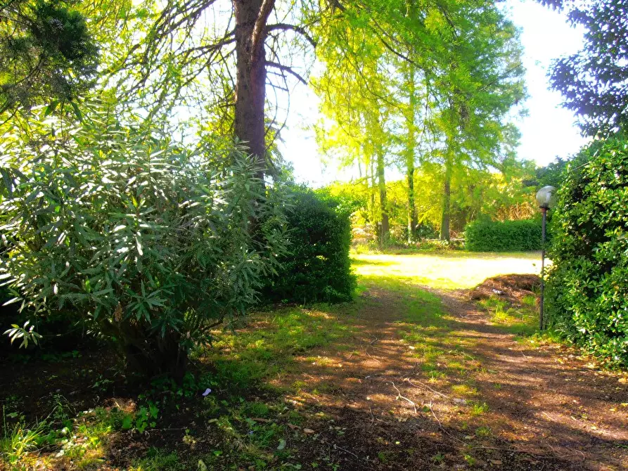 Immagine 37 di Casa colonica in vendita  a Pietrasanta