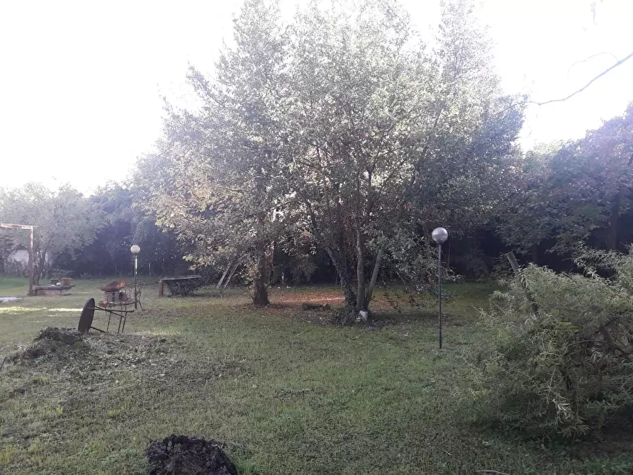 Immagine 25 di Casa colonica in vendita  a Pietrasanta