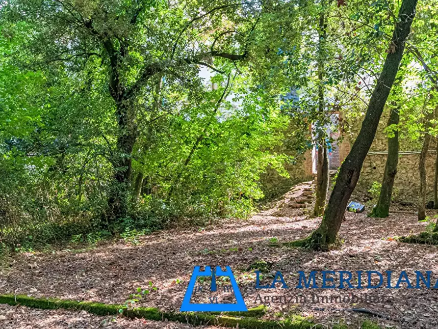 Immagine 26 di Appartamento in vendita  a Lamporecchio