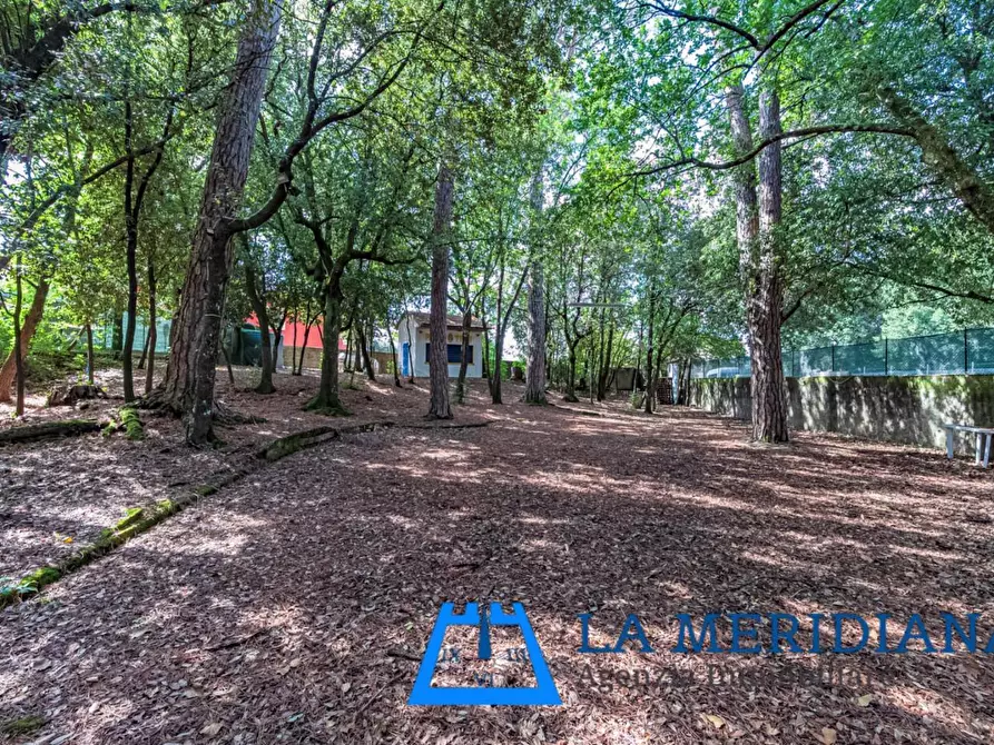 Immagine 25 di Appartamento in vendita  a Lamporecchio