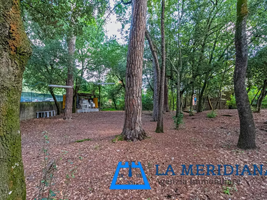 Immagine 24 di Appartamento in vendita  a Lamporecchio