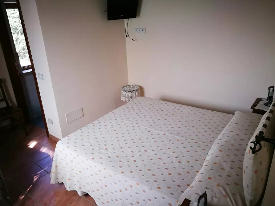 Immagine 6 di Villa in vendita  a Rosignano Marittimo