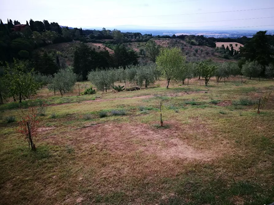 Immagine 18 di Villa in vendita  a Rosignano Marittimo