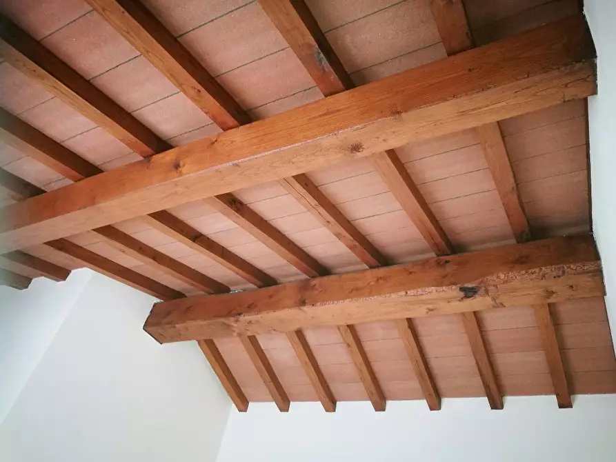 Immagine 13 di Villa in vendita  a Rosignano Marittimo