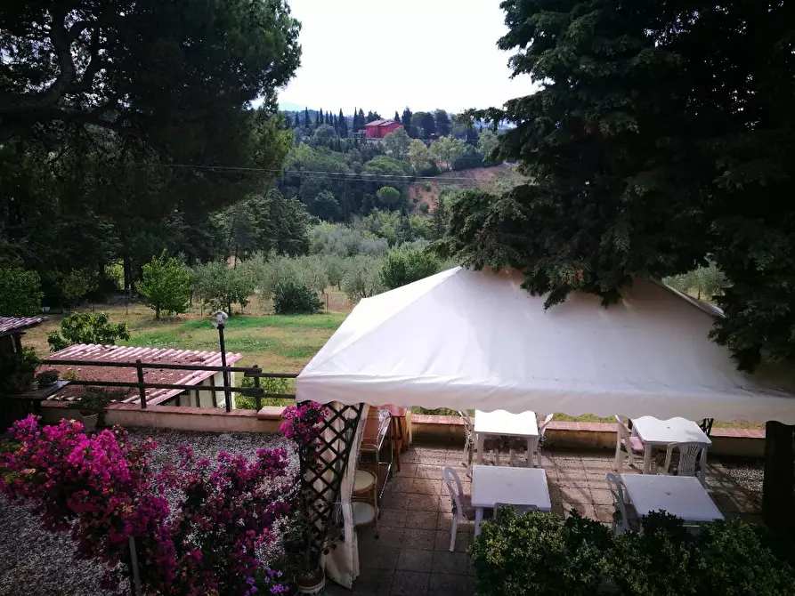 Immagine 3 di Villa in vendita  a Rosignano Marittimo