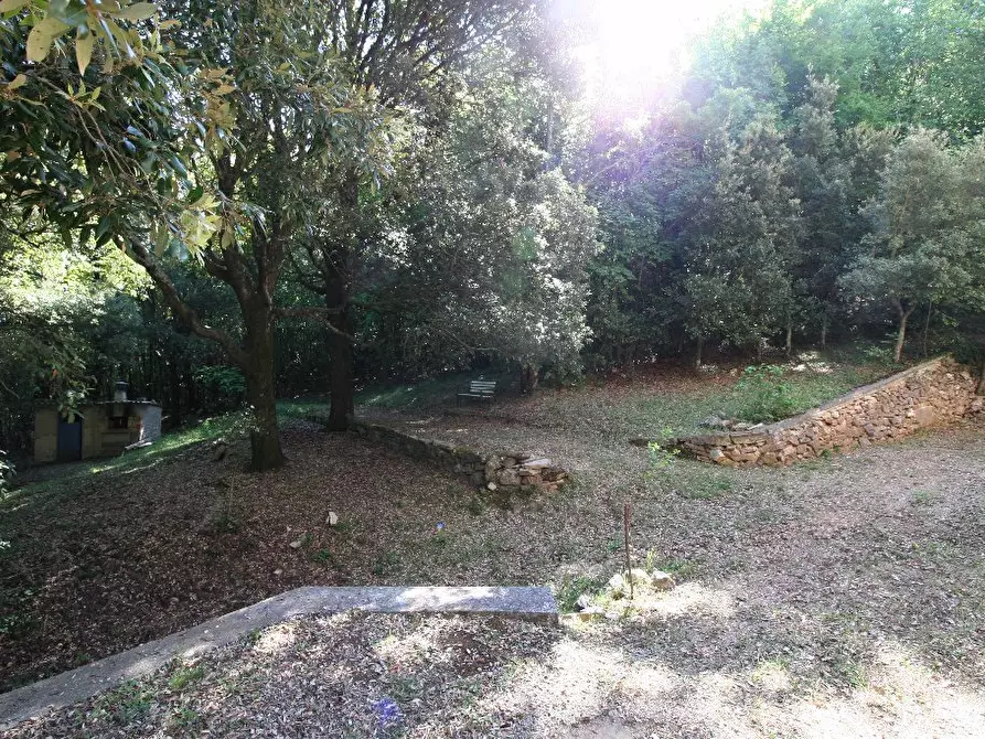 Immagine 4 di Porzione di casa in vendita  a Sovicille