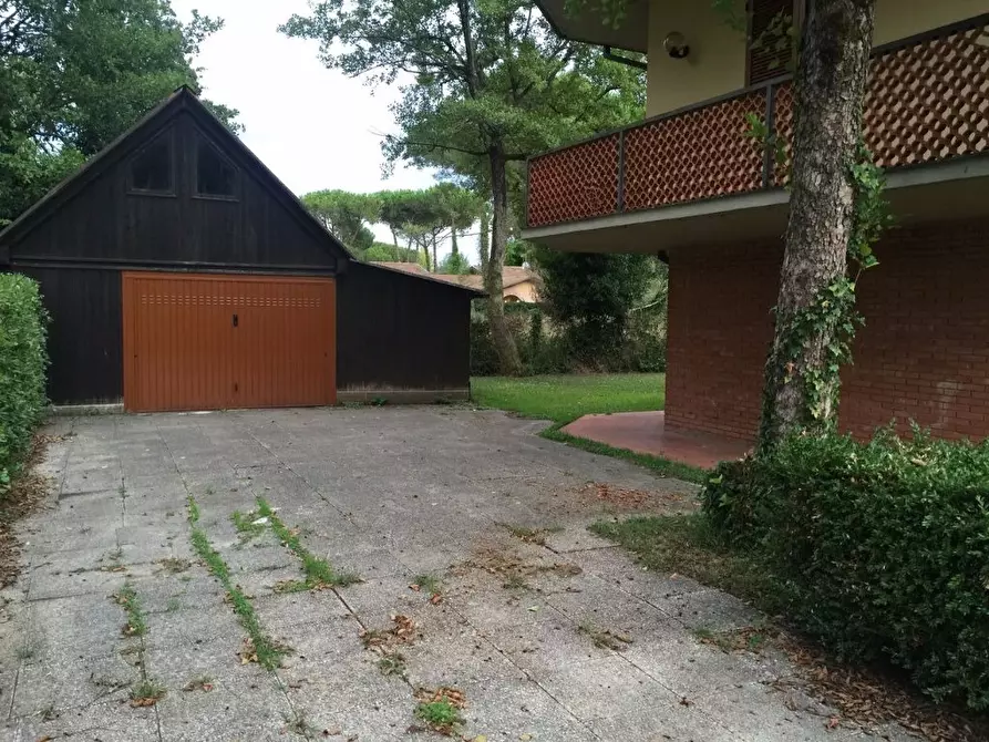 Immagine 4 di Villa in vendita  a Massa
