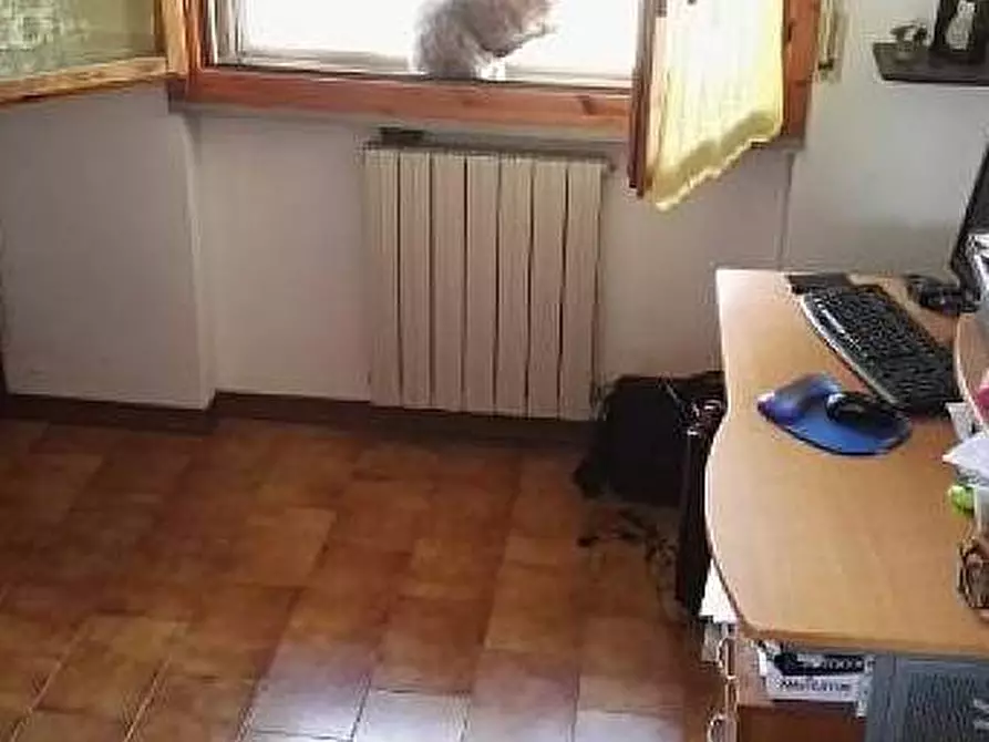 Immagine 5 di Appartamento in vendita  a San Giuliano Terme