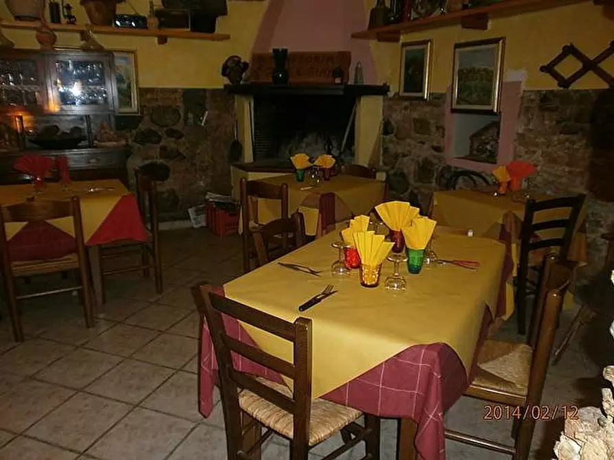 Immagine 7 di Bar / Ristorante in vendita  a Santa Luce
