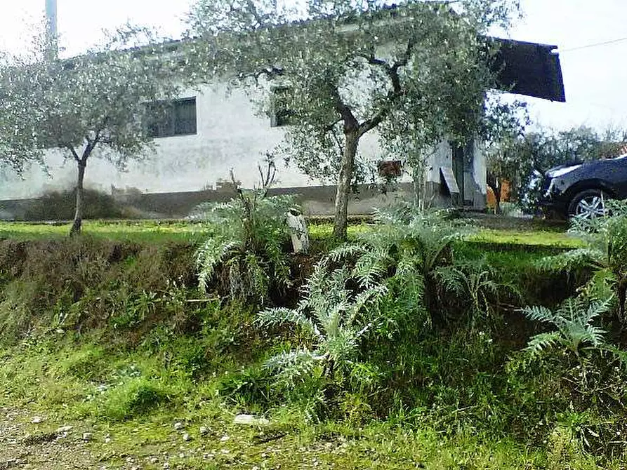 Immagine 2 di Terreno residenziale in vendita  a Santa Maria A Monte