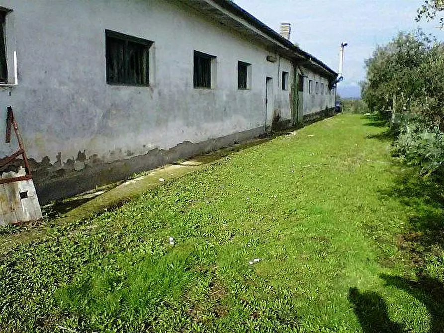 Immagine 1 di Terreno residenziale in vendita  a Santa Maria A Monte