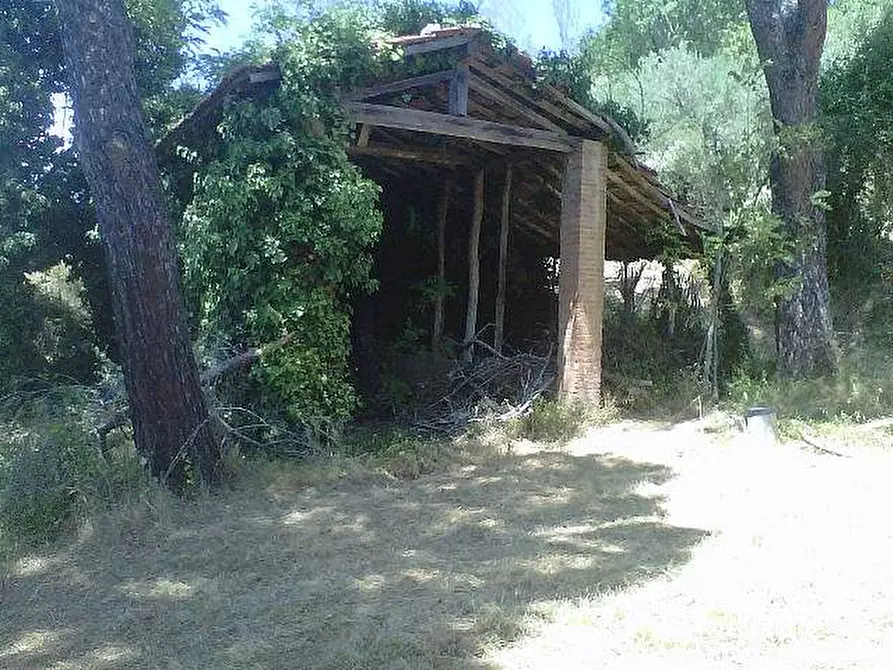 Immagine 2 di Rustico / casale in vendita  a Peccioli