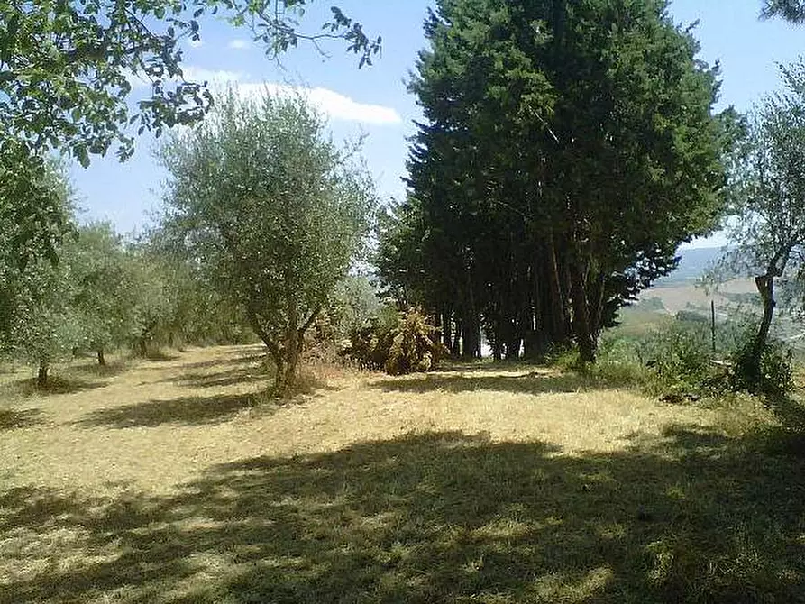 Immagine 4 di Rustico / casale in vendita  a Peccioli