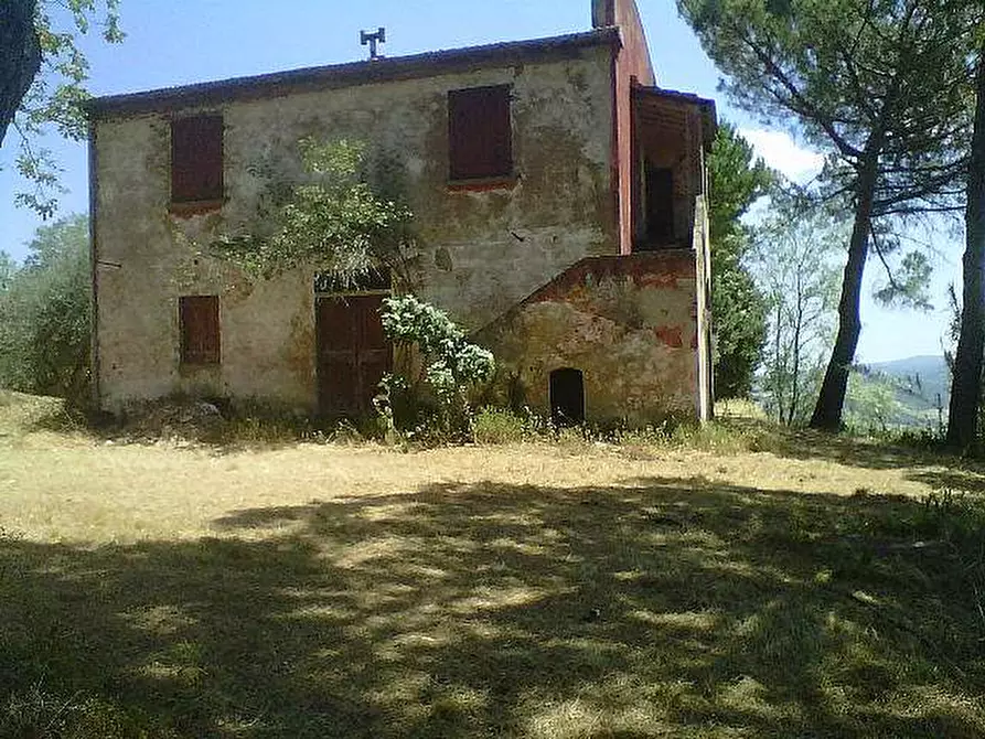 Immagine 1 di Rustico / casale in vendita  a Peccioli