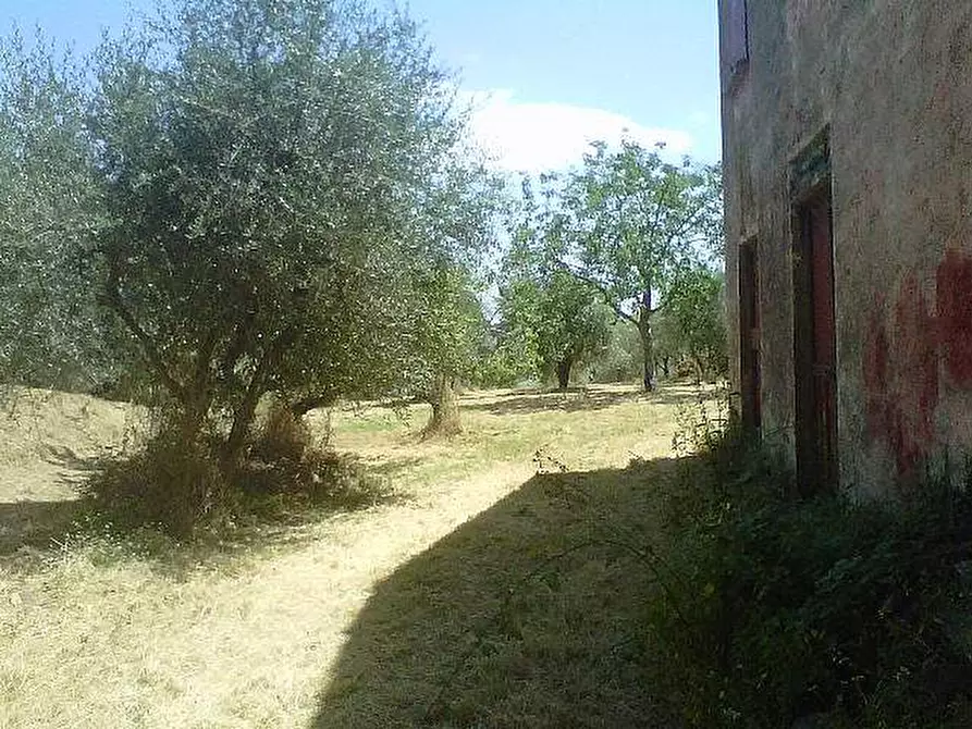 Immagine 3 di Rustico / casale in vendita  a Peccioli