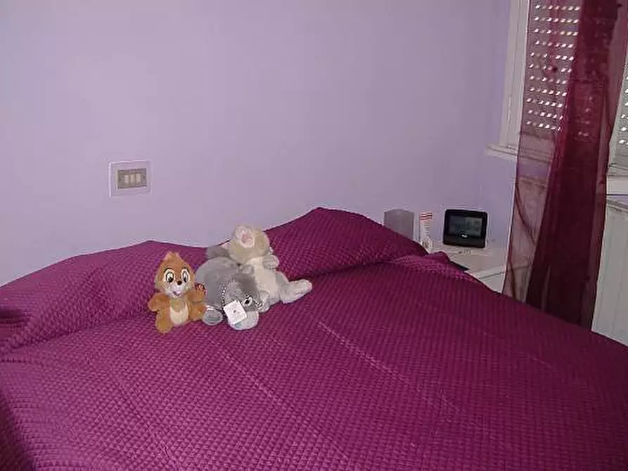 Immagine 4 di Appartamento in vendita  a Crespina Lorenzana