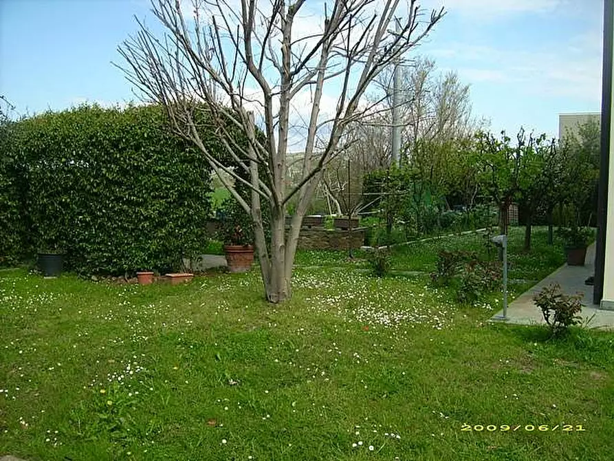 Immagine 4 di Terratetto in vendita  a San Giuliano Terme