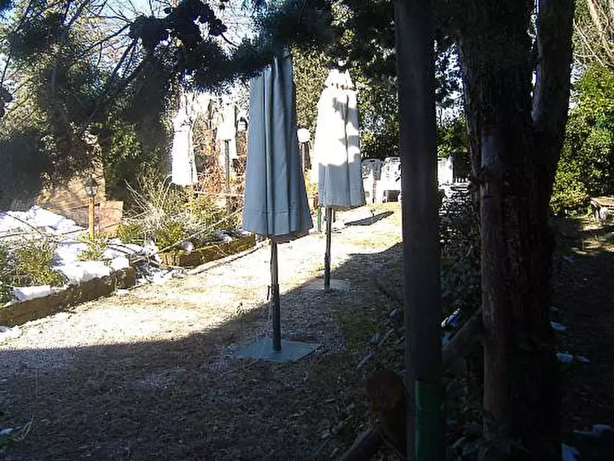 Immagine 6 di Locale commerciale in vendita  a Crespina Lorenzana