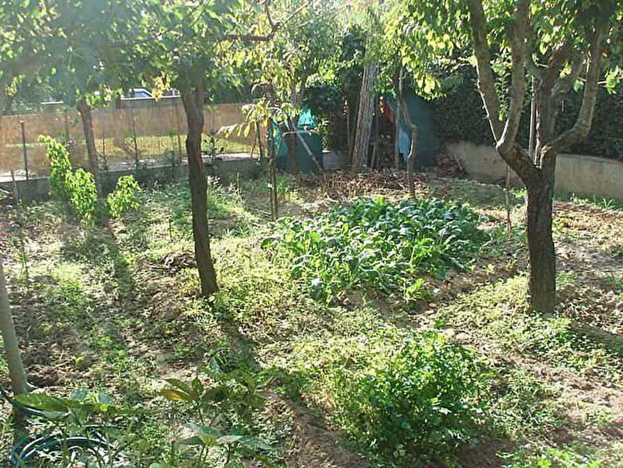 Immagine 3 di Casa indipendente in vendita  a Pisa