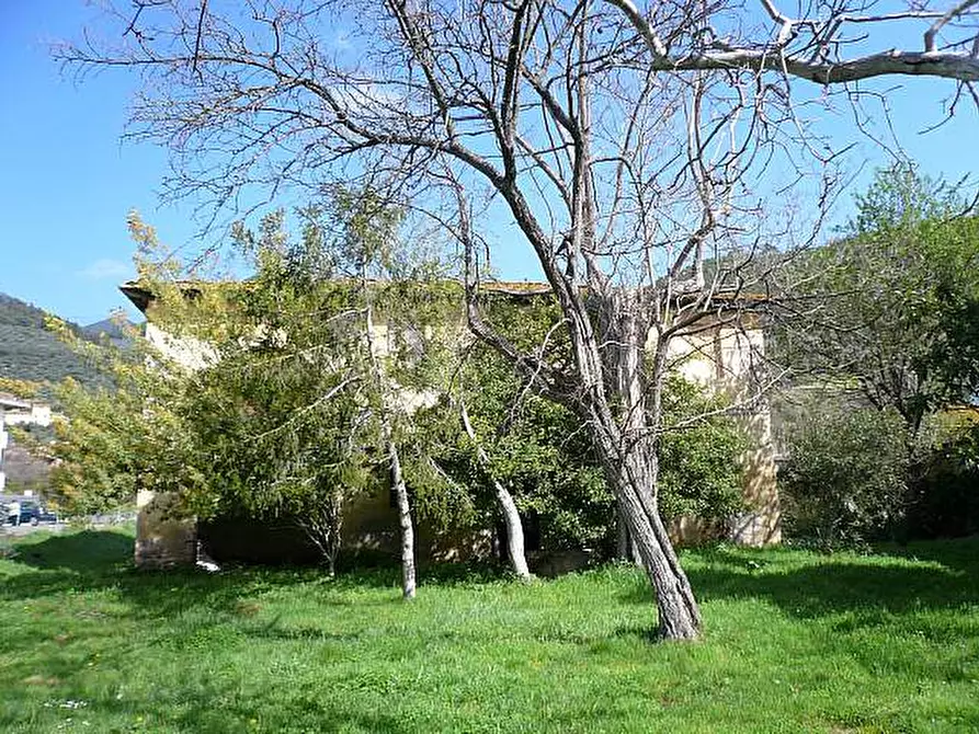 Immagine 1 di Rustico / casale in vendita  a Calci