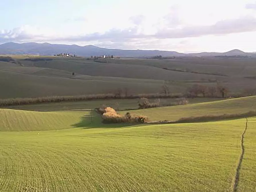 Immagine 9 di Casa indipendente in vendita  a Orciano Pisano