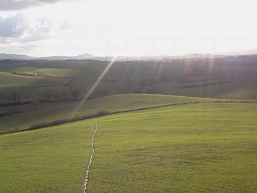 Immagine 20 di Casa indipendente in vendita  a Orciano Pisano