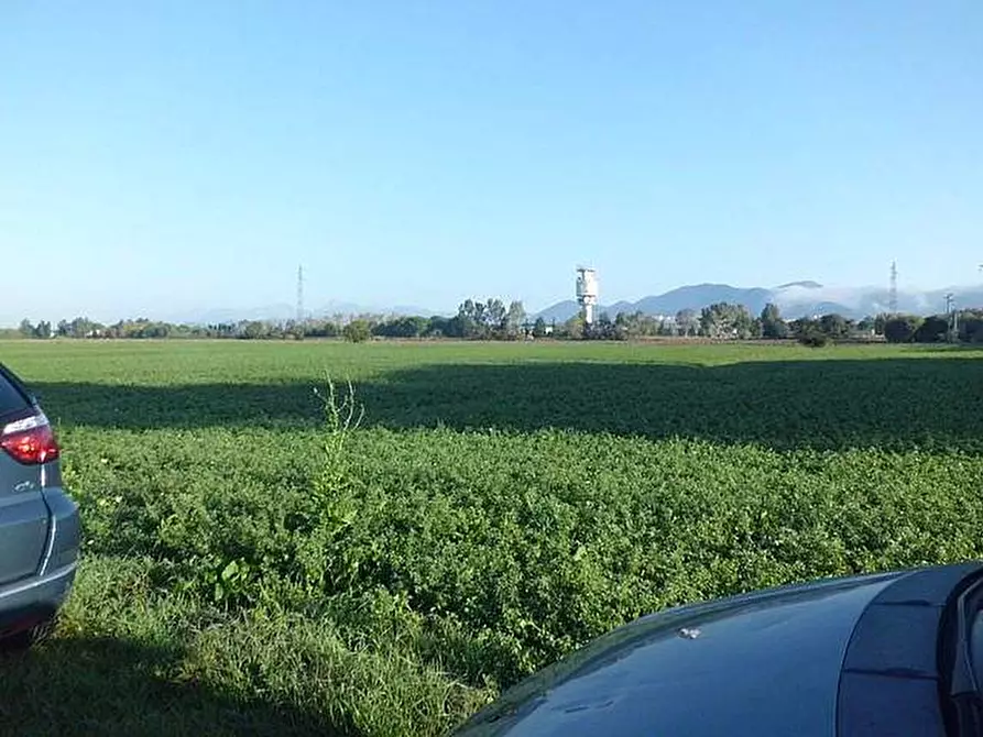 Immagine 2 di Terreno agricolo in vendita  a Pisa